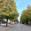 Инђија (7)